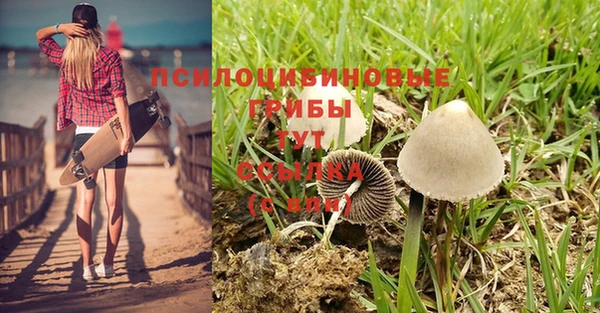 MESCALINE Богородицк