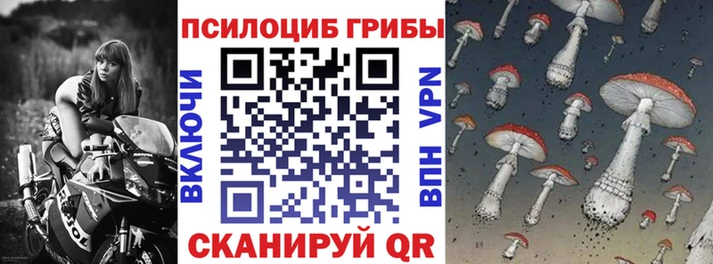 площадка как зайти  наркота  Киренск  Галлюциногенные грибы GOLDEN TEACHER 